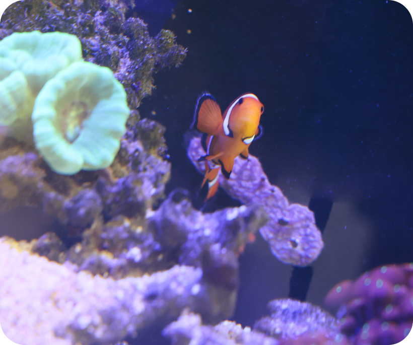 こんな「お悩み」ございませんか